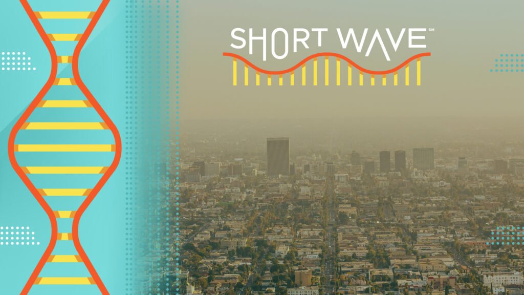 Eczema triggers could be in the pollution we breathe, doctors say : Short Wave : NPR