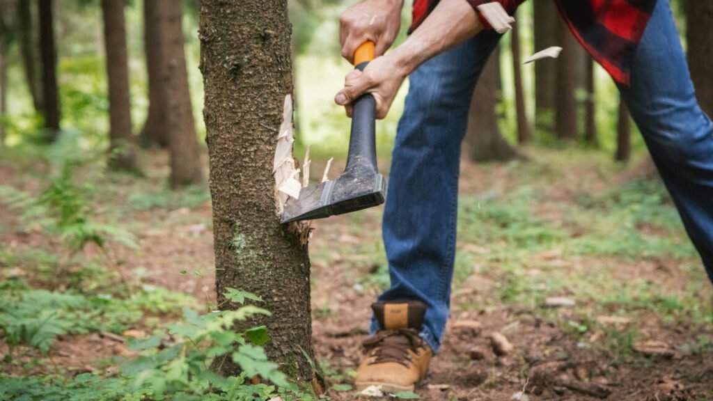 male hands with an ax hitting a tree trunk