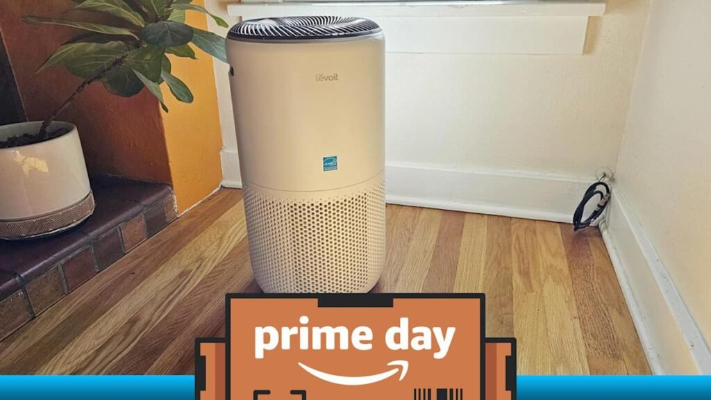 Our favorite air purifier is $37 off right now