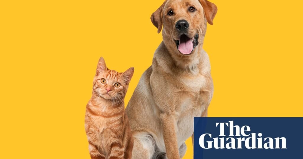 Owning dog or cat could preserve some brain functions as we age, study says | Ageing
