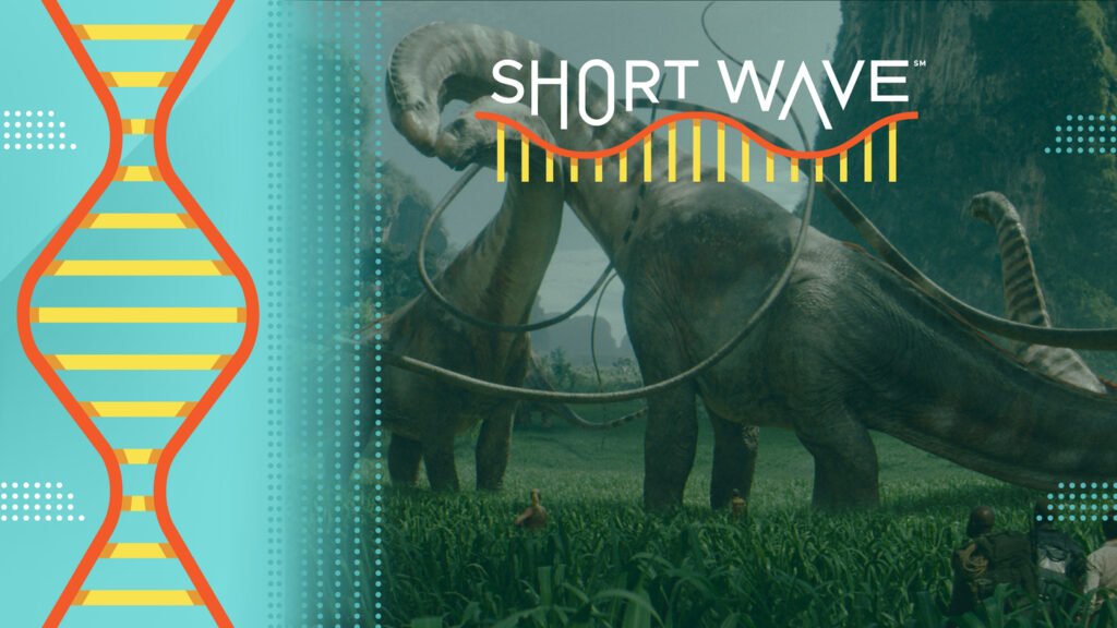 Rebirth : Short Wave : NPR