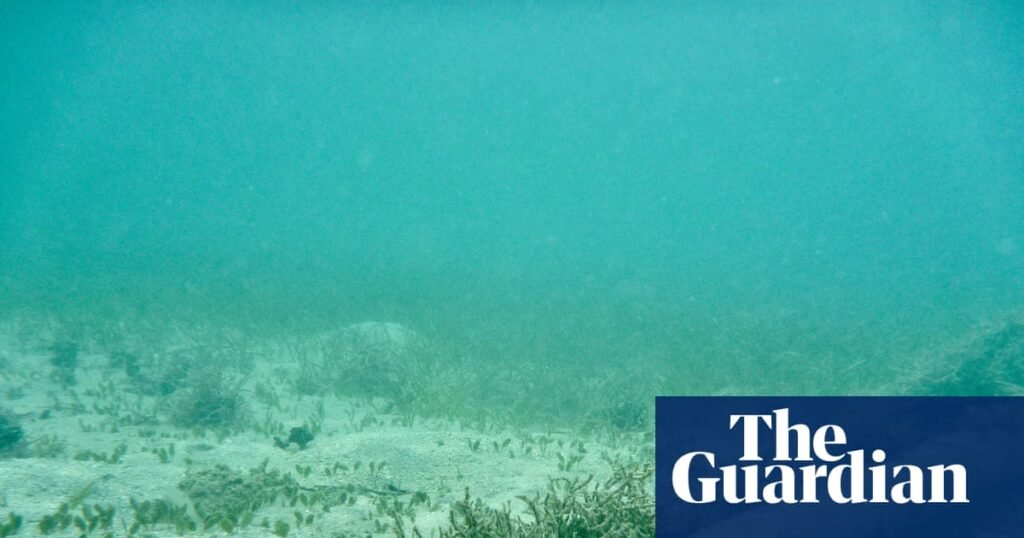 Risk of undersea cable attacks backed by Russia and China likely to rise, report warns | Telecoms