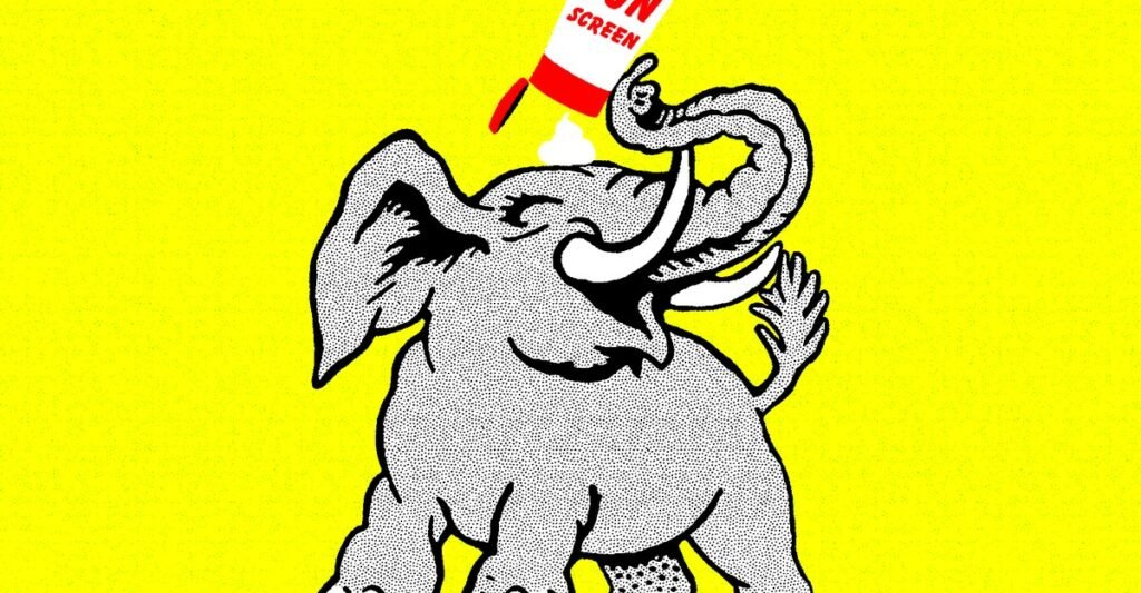 Should You Sunscreen Your Cat?