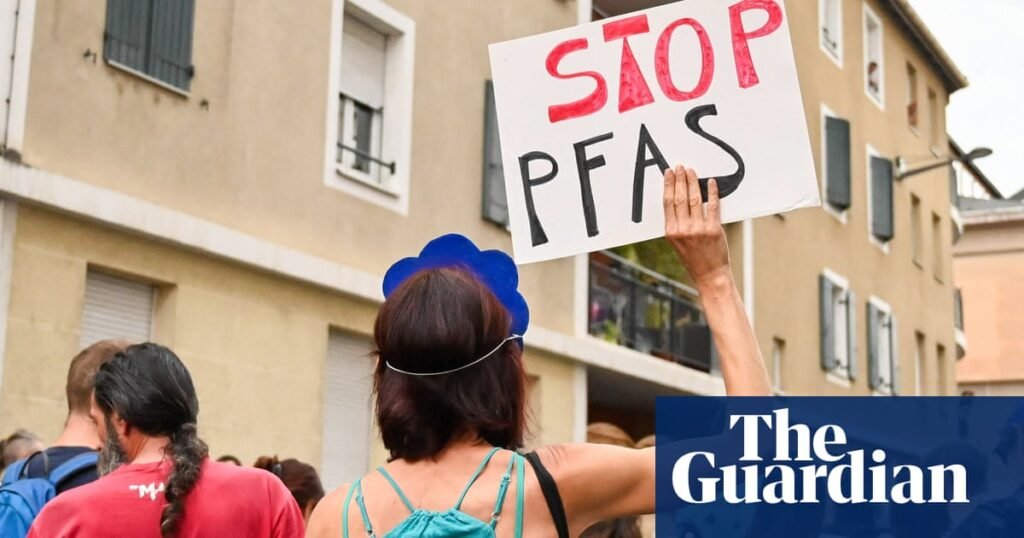 Some gut microbes can absorb and help expel ‘forever chemicals’ from the body, research shows | Pfas