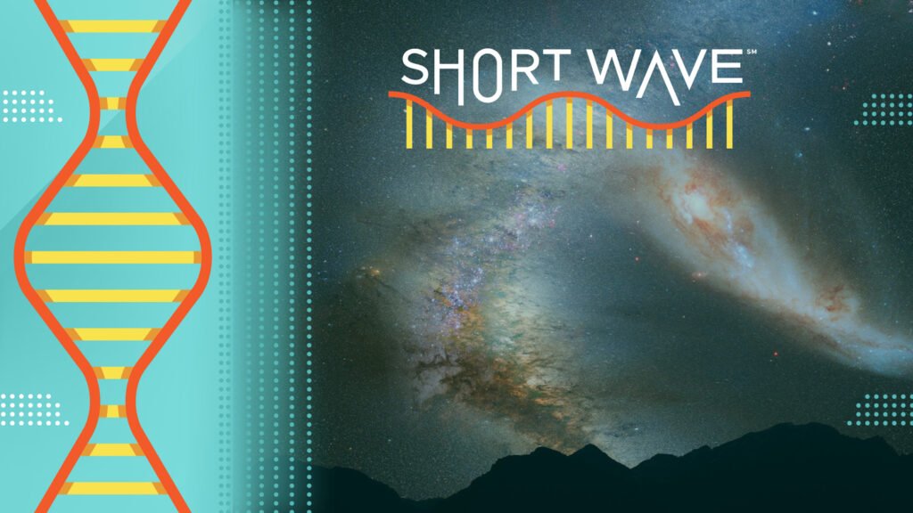 What if the Milky Way and Andromeda galaxies collide? : Short Wave : NPR