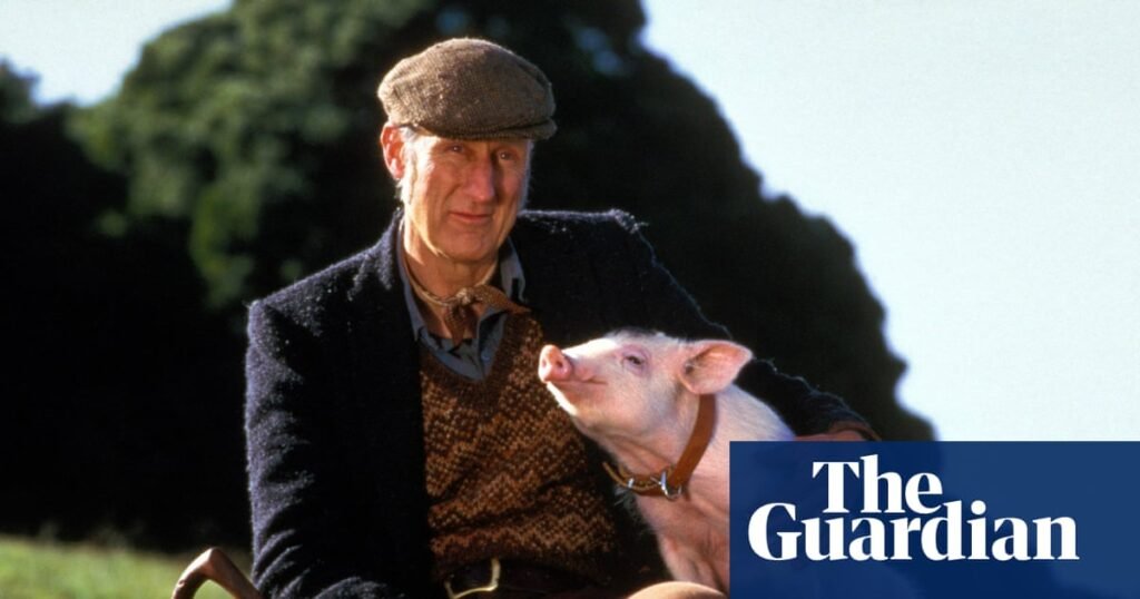 ‘I went vegan on the second day of filming’: James Cromwell on making Babe, the talking pig classic | Movies