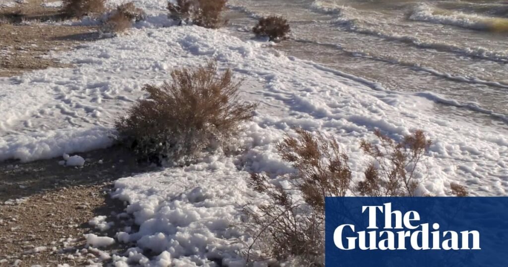 ‘We thought we’d got the numbers wrong’: how a pristine lake came to have the highest levels of ‘forever chemicals’ on record | Pfas