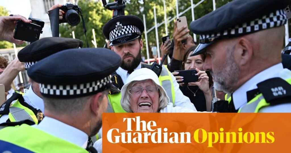 Anger, fear and a total rejection of politics: the Palestine Action protest was a snapshot of Britain today | Andy Beckett Anger, fear and a total rejection of politics: the Palestine Action protest was a snapshot of Britain today | Andy Beckett