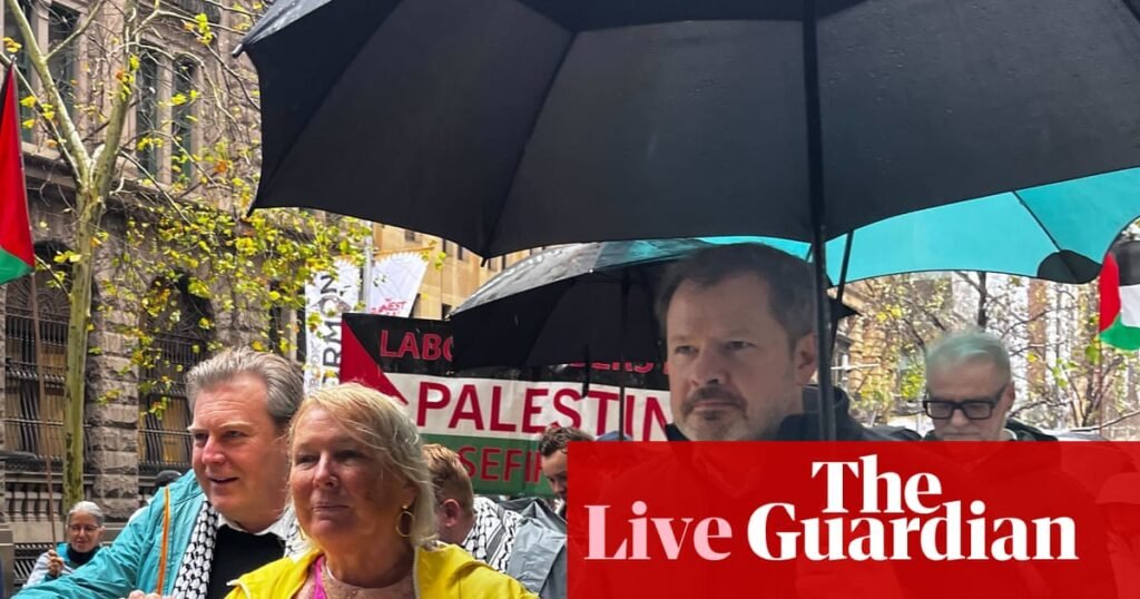 Australia news live: Husic says Harbour Bridge march a ‘wake-up call’ for politicians; flood warnings for NSW | Australia news