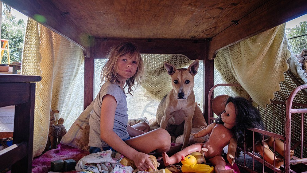 ‘Don’t Let’s Go to the Dogs Tonight’ Review: Wild African Upbringing 'Don't Let's Go to the Dogs Tonight' Review: Wild African Upbringing