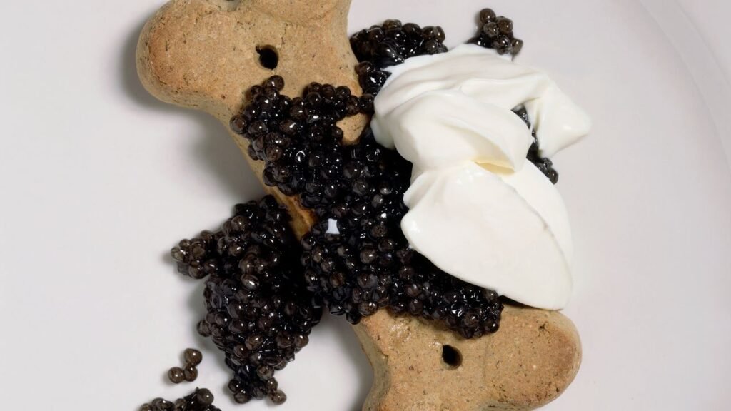 From the Archives: Jeffrey Steingarten on Gourmet Doggy Dining