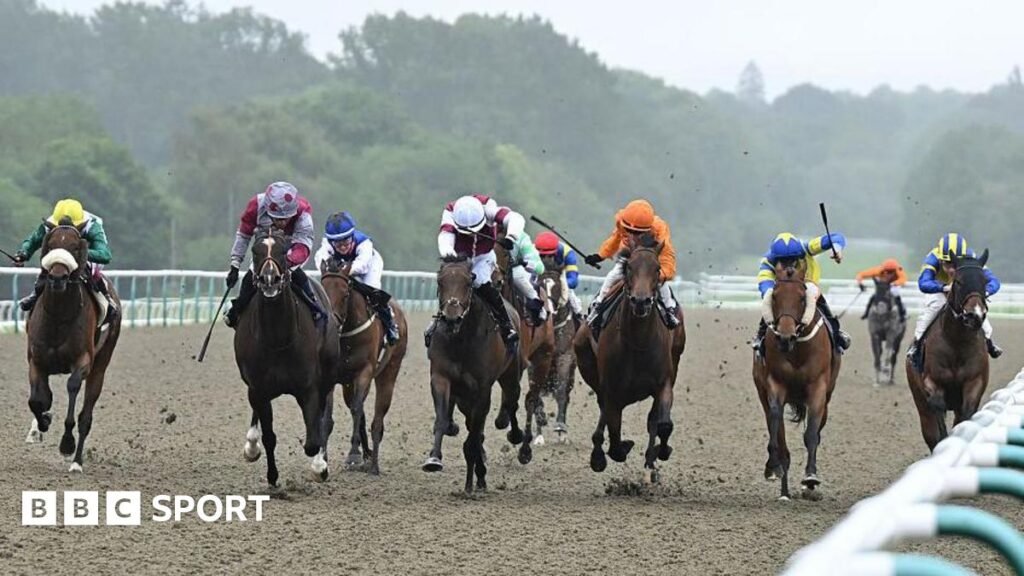 Racing at Lingfield Park