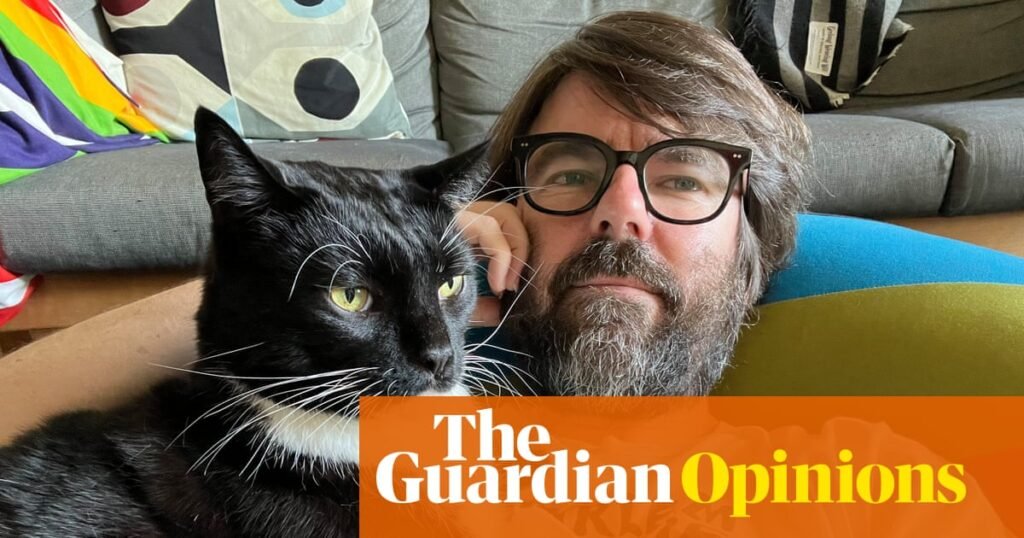 I was one of those pathetic males who barely noticed cats. Then I became smitten with my kitten | Luke Beesley
