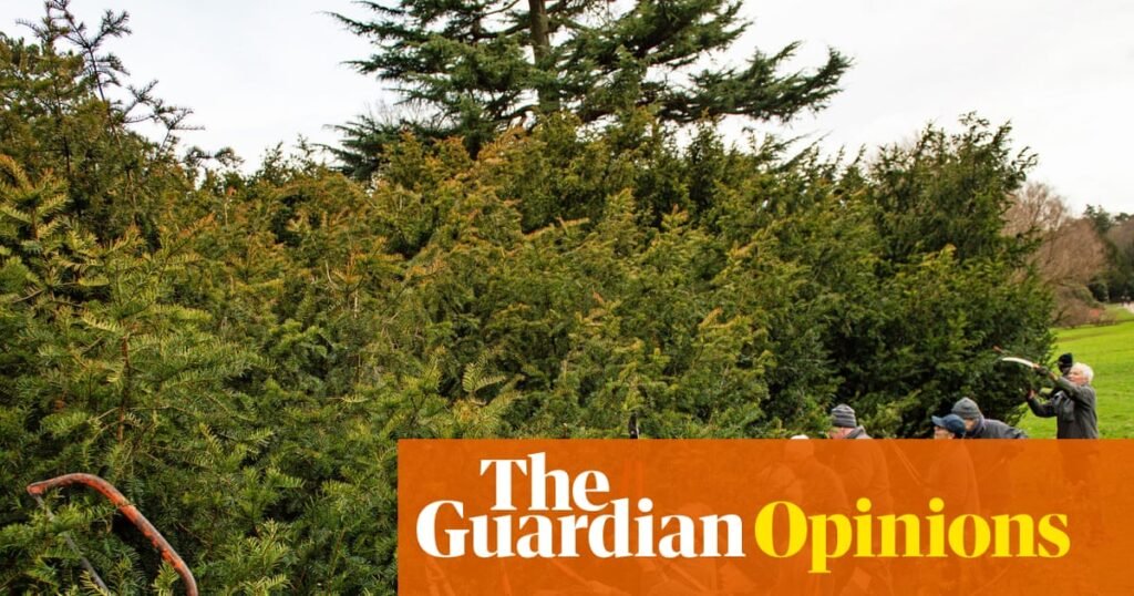 If boomers don’t want wealth taxes they can give their time and skills | Phillip Inman