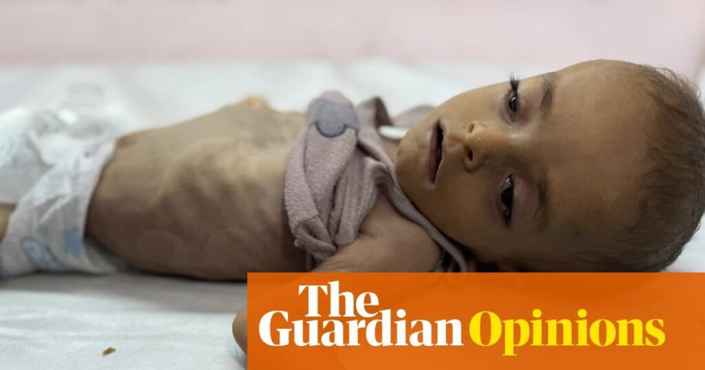 Joe Biden is complicit in Gaza’s starvation. Blood is on his hands | Mohamad Bazzi