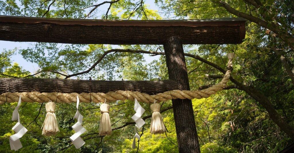 The Books Briefing: In Search of an 11th-Century Novelist in Kyoto