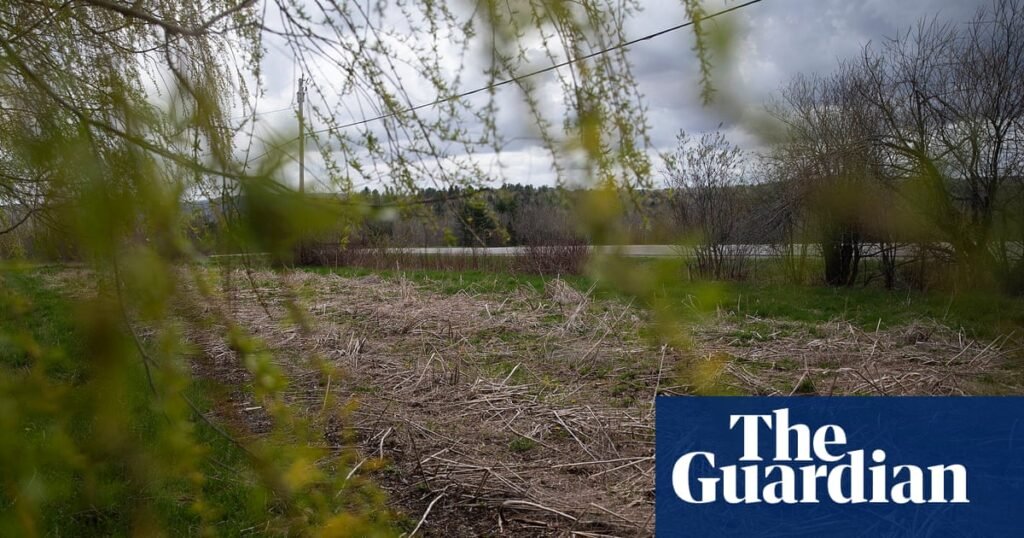 The unlikely alliance pressing Trump to regulate Pfas on US farms: ‘This is a basic human right’ | Pfas