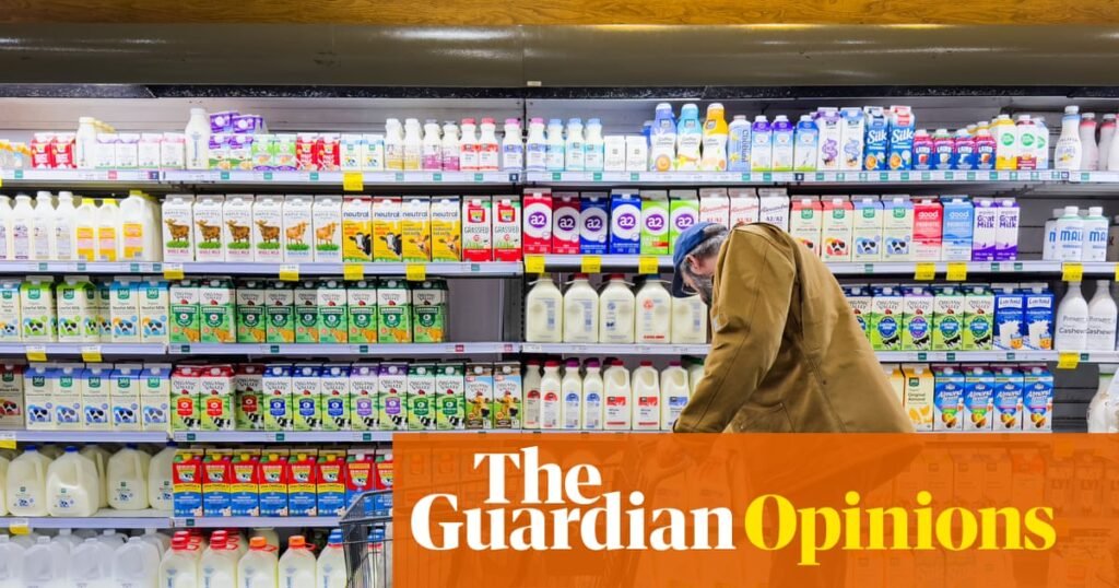 Trump is losing his foolish trade war. This will cost ordinary Americans greatly | Steven Greenhouse