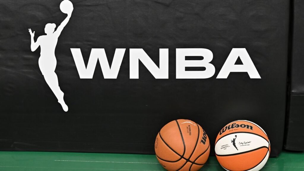 WNBA fan accused of throwing sex toy faces multiple charges