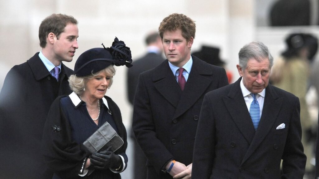 What Did Prince Harry and Prince William Really Do at King Charles and Queen Camilla’s Wedding?