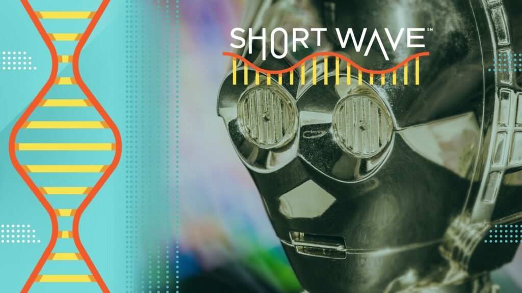 What personality makes a robot relatable to humans? : Short Wave : NPR