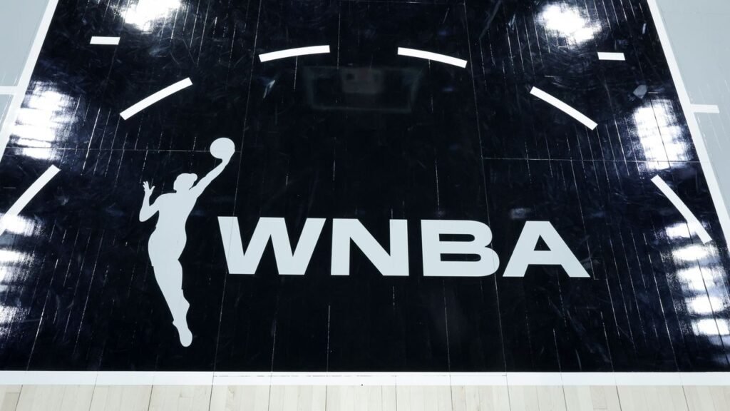 Why Are Grown Men Throwing Dildos At WNBA Games, and WTF Does Crypto Have To Do With It?
