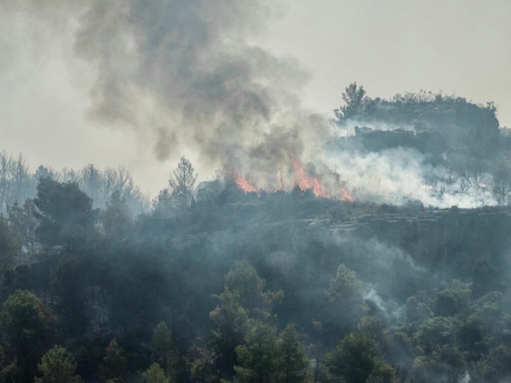Wildfires and heatwaves grip southern Europe as evacuations ordered | Climate Crisis News