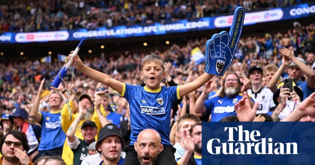 Wombling free: a fan’s journey from despising football to gaining a superpower | AFC Wimbledon