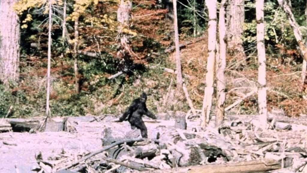 A sixth grader's podcast about Bigfoot : NPR