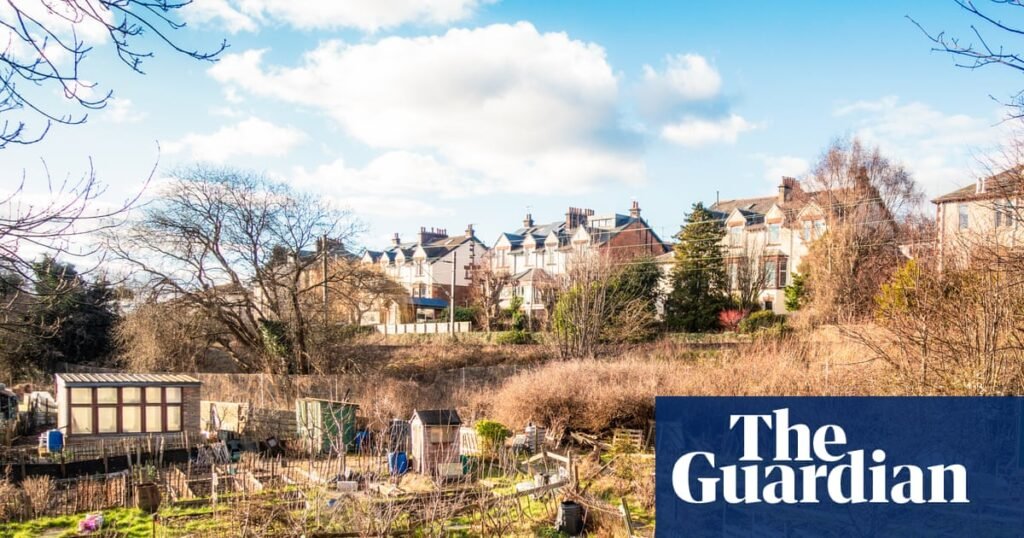 Allotments are a safe space in times of crisis | Allotments