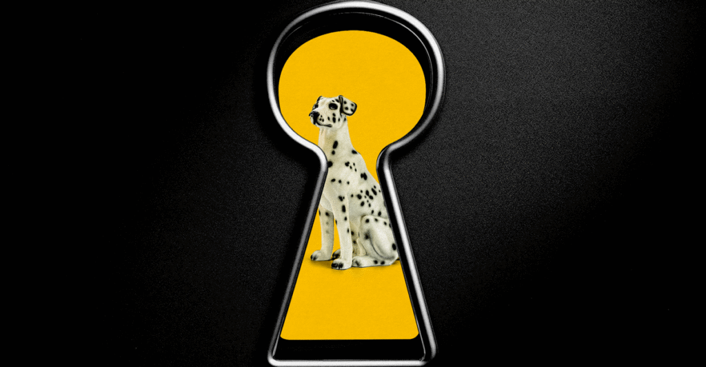 Does My Dog Ever Want Privacy?