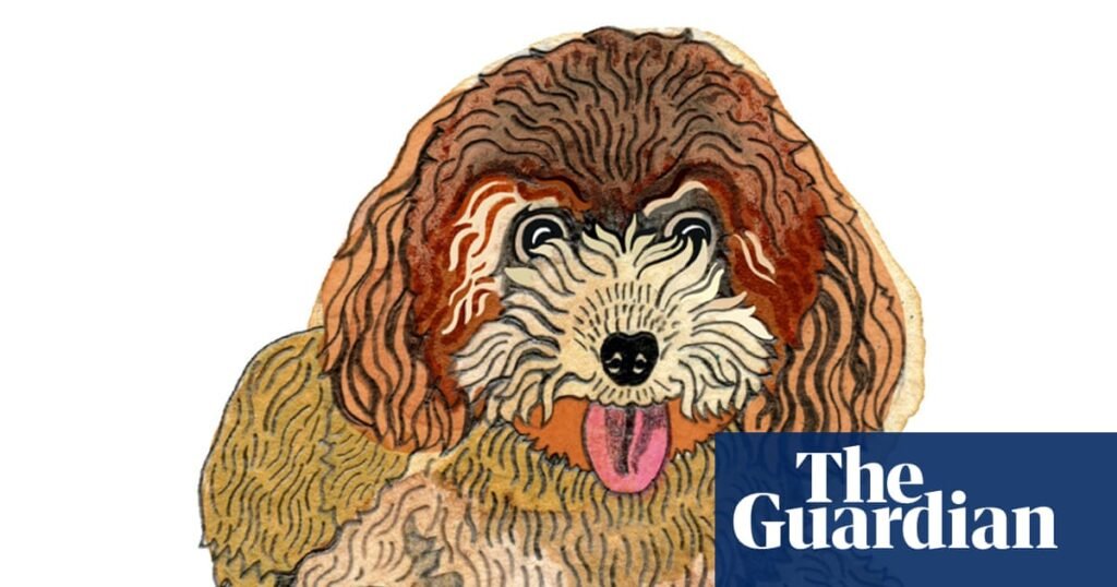 How many domestic dogs are there and do flies see in slow motion? The kids’ quiz | Family