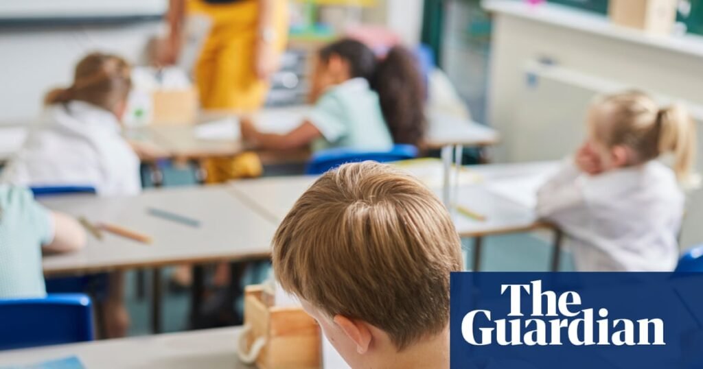 Low birthrates in England could lead to ‘closure of 800 primary schools by 2029’ | Primary schools