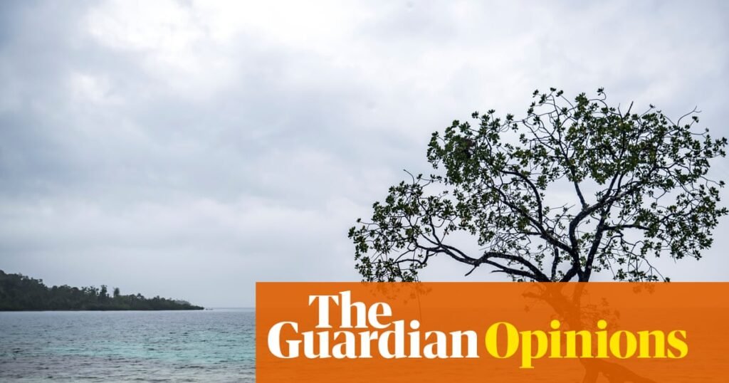 Taking action to stop climate change is not an act of charity. It is a legal obligation | Cynthia Houniuhi