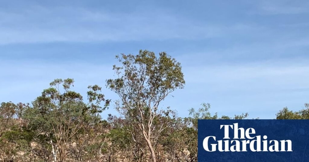 Vast and spectacular: a five-day hike to Smitt Rock and Eighth Gorge in Nitmiluk national park | Walking holidays Vast and spectacular: a five-day hike to Smitt Rock and Eighth Gorge in Nitmiluk national park | Walking holidays