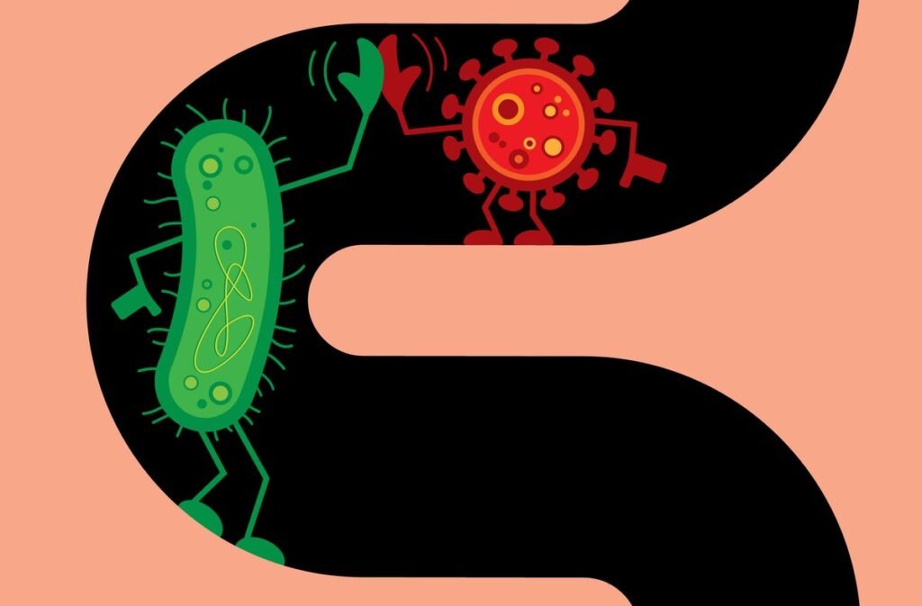Viruses in the Gut Protect Us and Change with Age and Diet