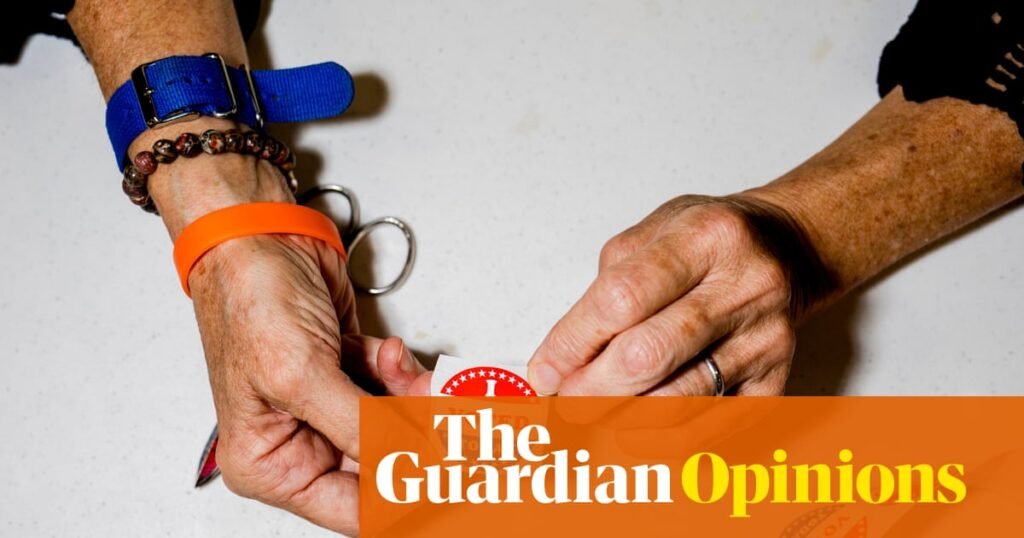 I chaired the US Federal Election Commission. Now there’s no cop on the beat | Ellen L Weintraub