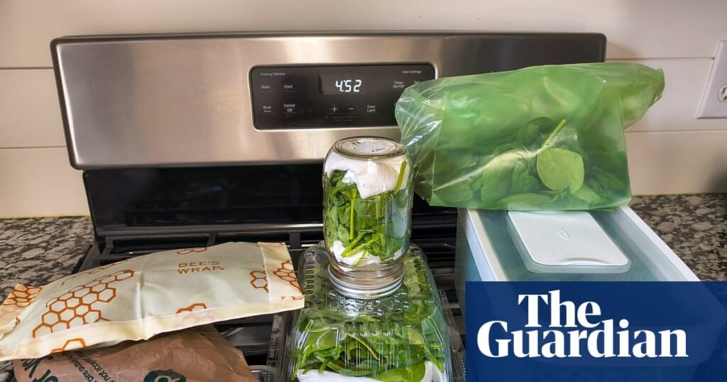 Six tips and products to keep leafy greens fresh longer, tested | Food