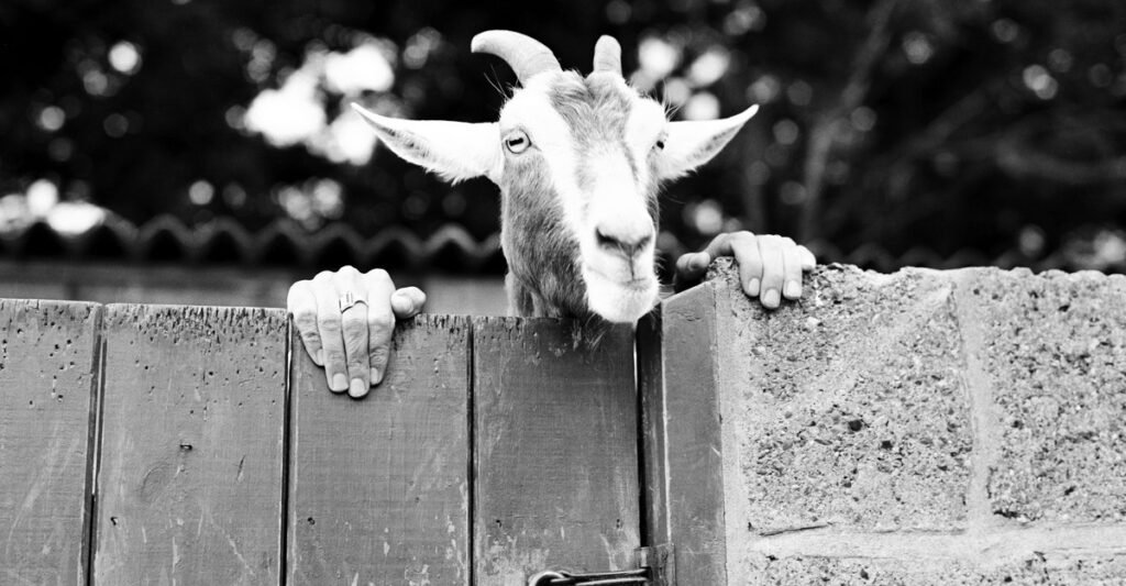 The Wonder of a Nature Photo